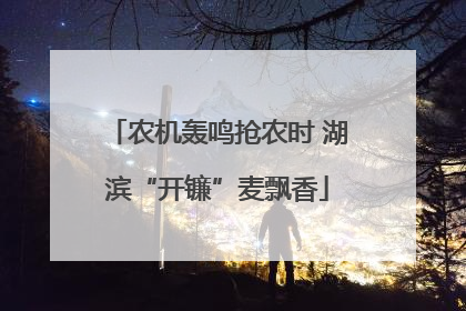 农机轰鸣抢农时 湖滨“开镰”麦飘香